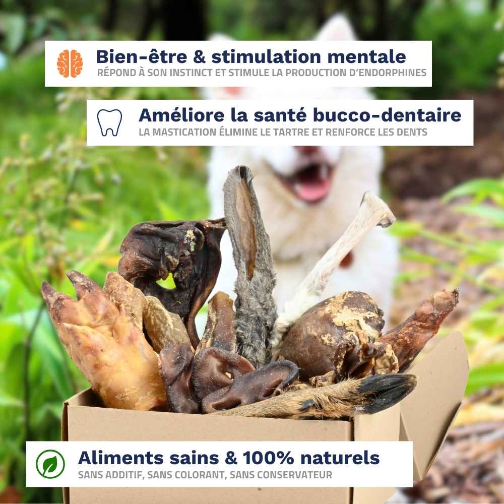Das Neugier-Paket
