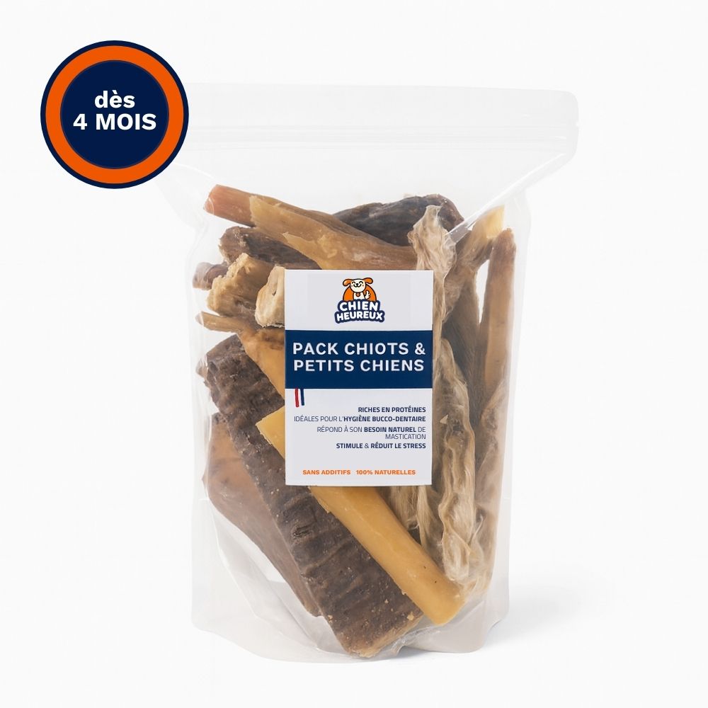 Welpen & Kleine Hunde Paket