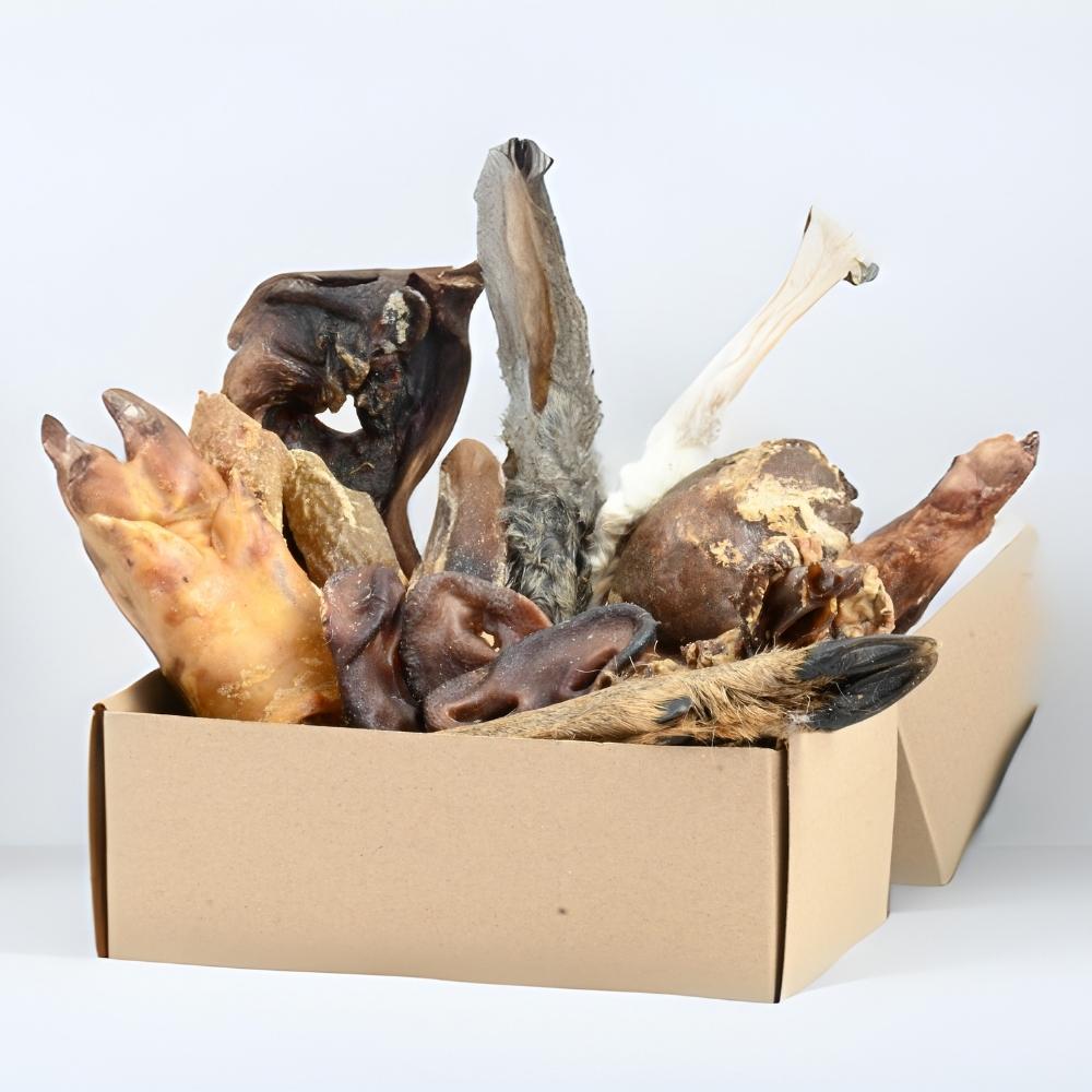 Das Neugier-Paket